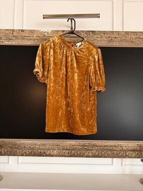Crushed Velvet Short-Sleeve Blouse in Golden Ochre
